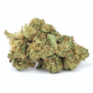 Buy Skywalker OG Kush Online