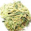 Buy Bubble Gum Online