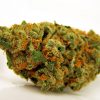 Jack Herer Online