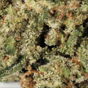 Buy God-Father OG online