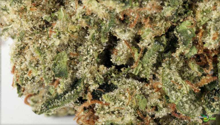 Buy God-Father OG online